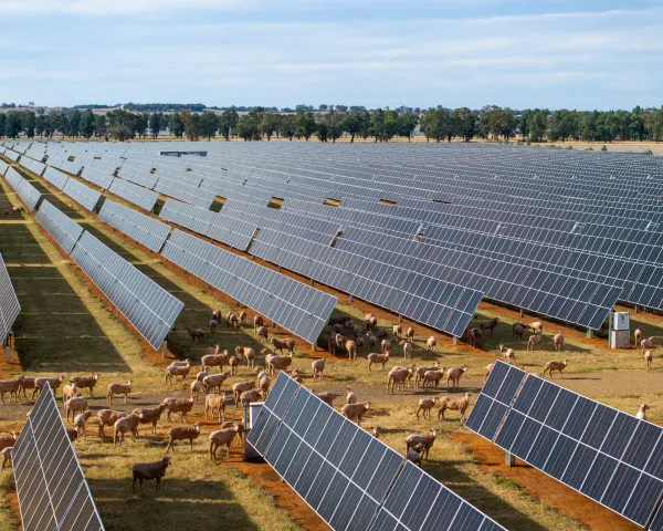 Grazing Agrivoltaics