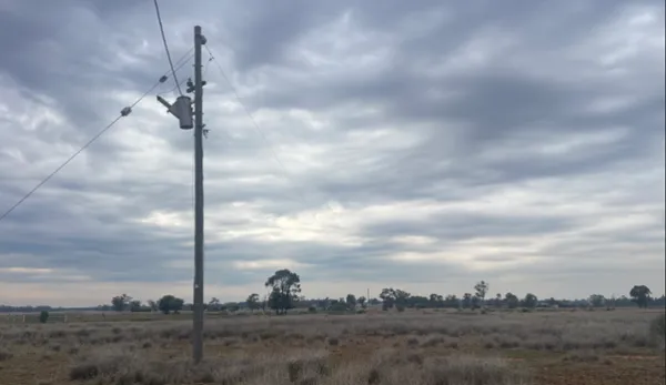 Single Line Pole