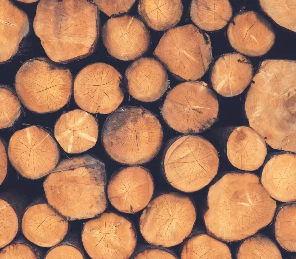 Sven scheuermeier jn U5 Eiv Nyg E unsplash